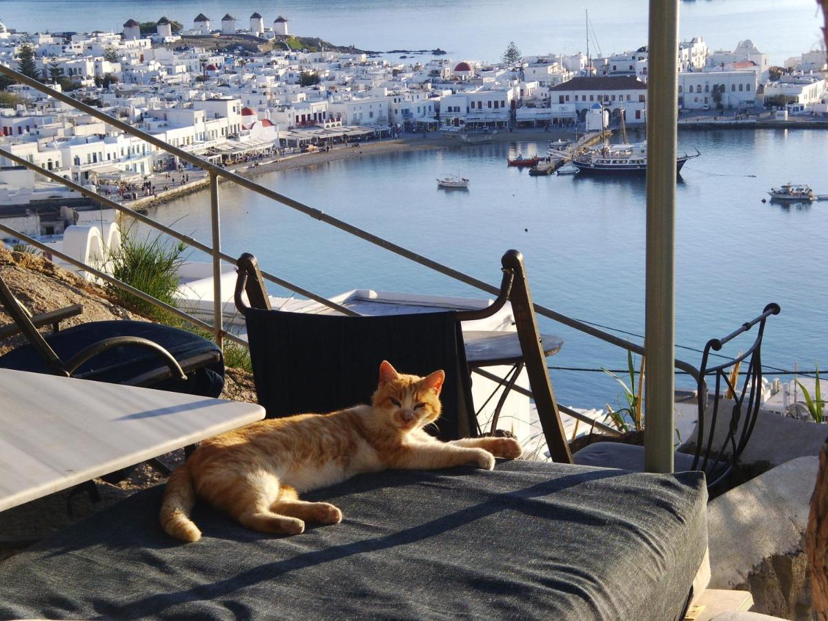 Apartmán Anemones Sea View Mykonos Town Exteriér fotografie
